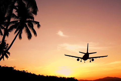 Vols charters - Avion coucher de soleil et palmiers