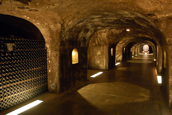 Vue d'une cave à Champagne